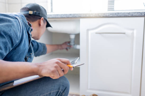 Best Emergency Plumber  in Roseau, MN
