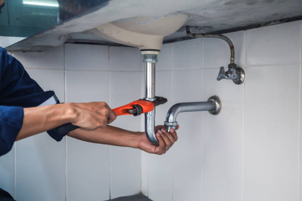 Best Commercial Plumbing Services  in Roseau, MN