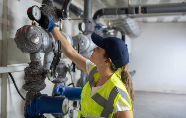 Best Plumbing Inspection Services  in Roseau, MN