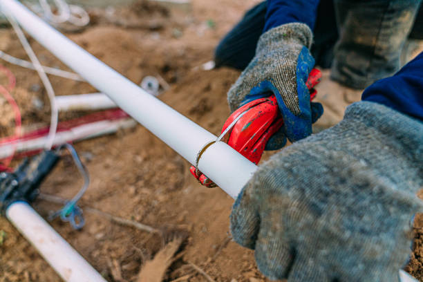 Best Leak Detection Services  in Roseau, MN